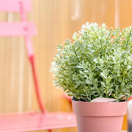 Cocon Chic - 1 דירה