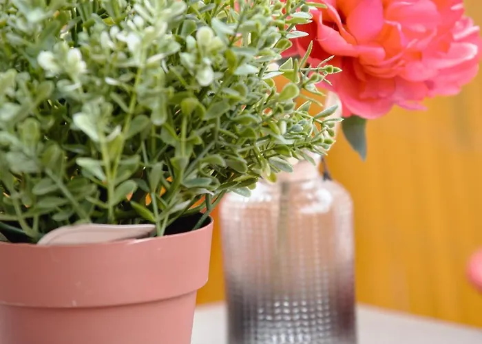 Apartamento Cocon Chic - 1