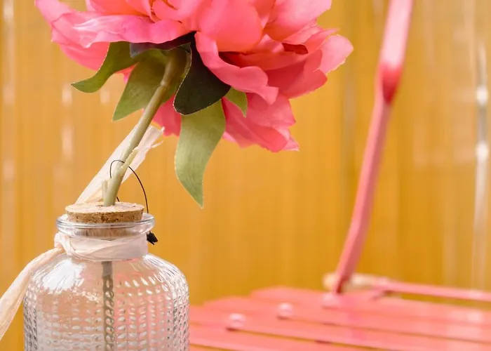 Cocon Chic - 1 Apartamento *