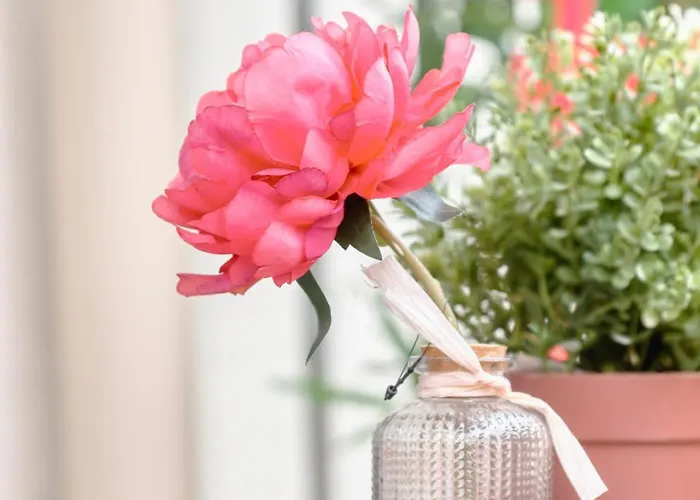 Apartamento Cocon Chic - 1